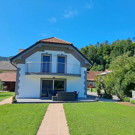 Hisa Haasberg Villa Planina  Dış mekan fotoğraf