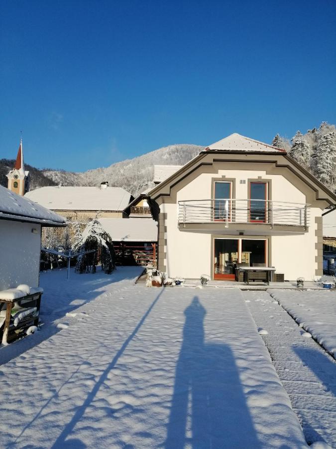 Hisa Haasberg Villa Planina  Dış mekan fotoğraf